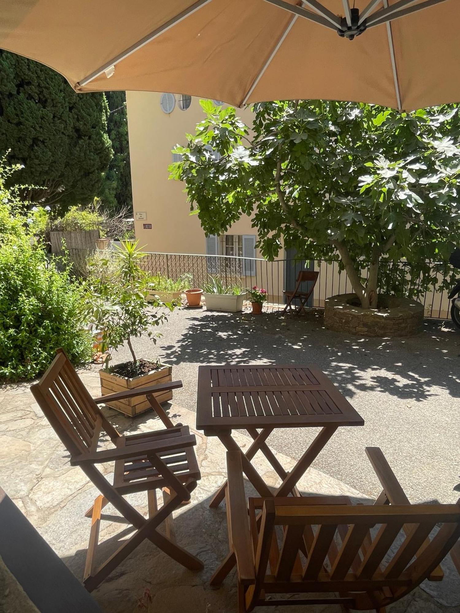 Cosy Studio - Place Du Figuier Bormes-les-Mimosas Esterno foto